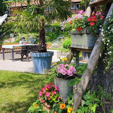 Apartment Im Gruenen Mit Anbindung Ans Zentrum Erfurt Exterior foto